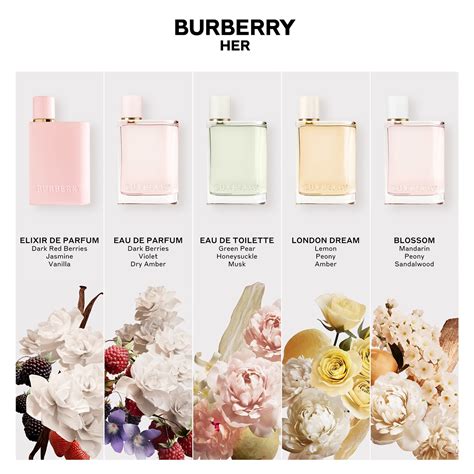 burberry fragrance samples